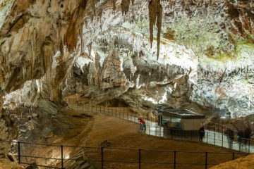 Excursiónes Cruceros Postoina